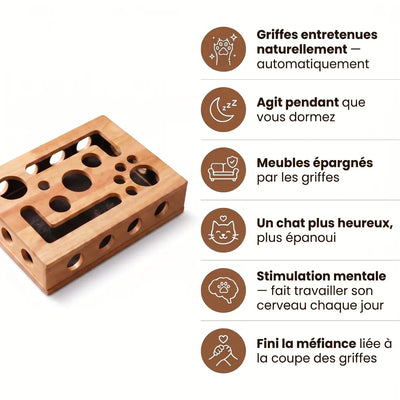 Le NailNest™ Klarea