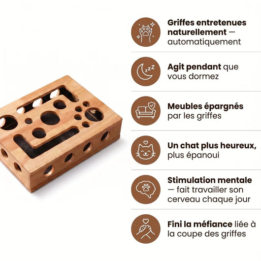 Le NailNest™ Klarea