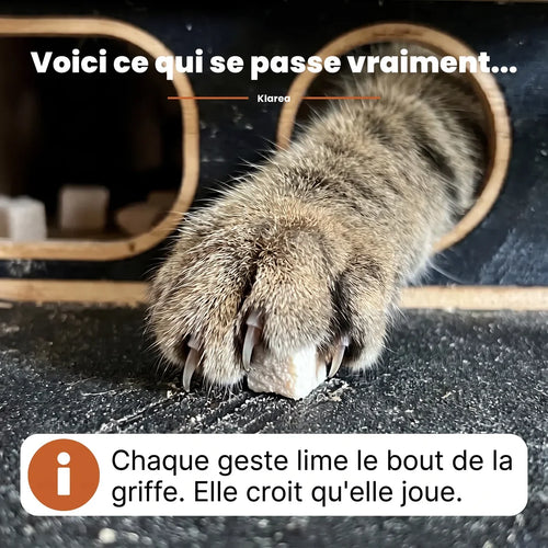 Le NailNest™