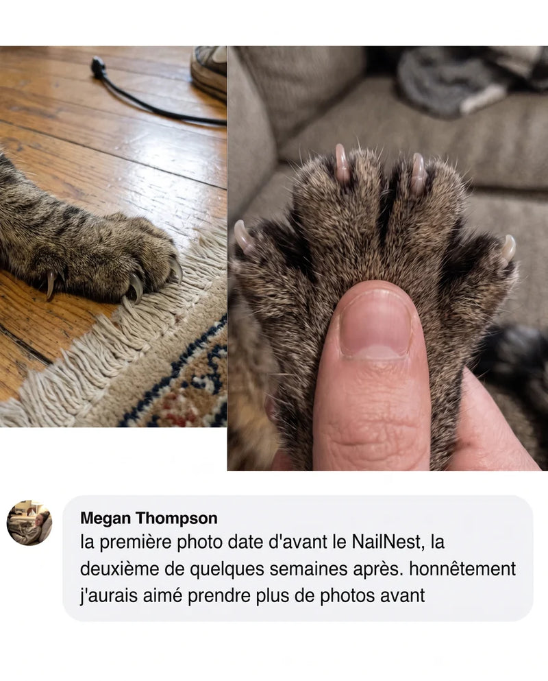 3. Les résultats étaient trop fous, alors on a vérifié deux fois...