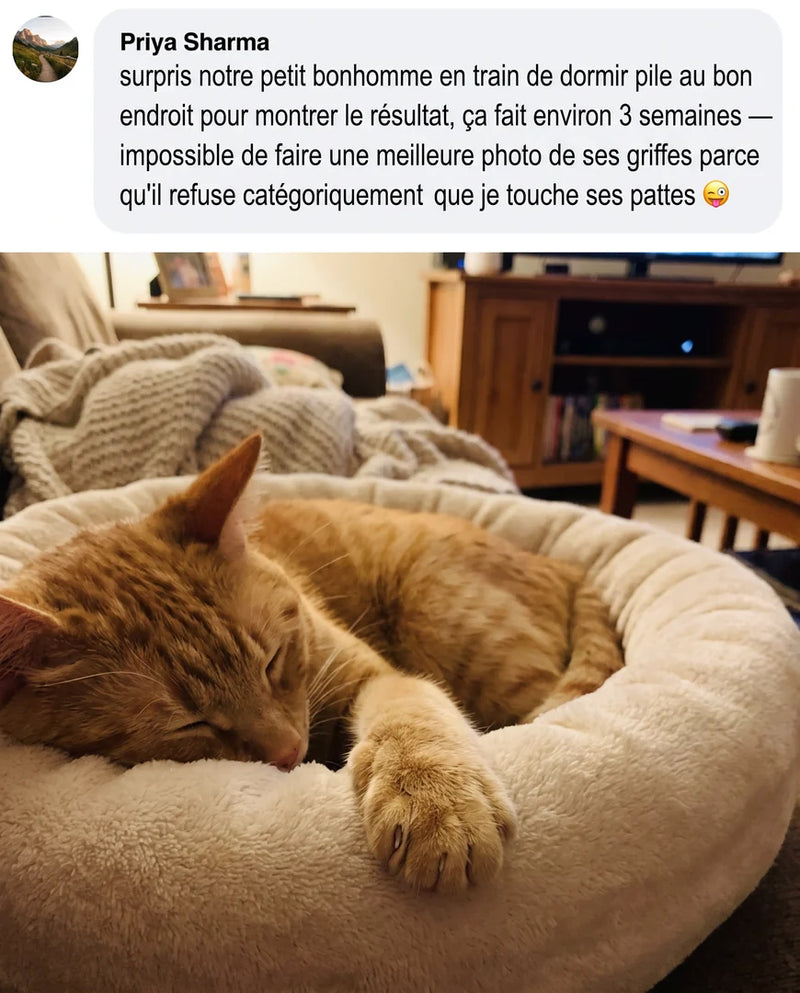 4. Va-t-elle vraiment l'utiliser ? Ça dépend d'une seule chose